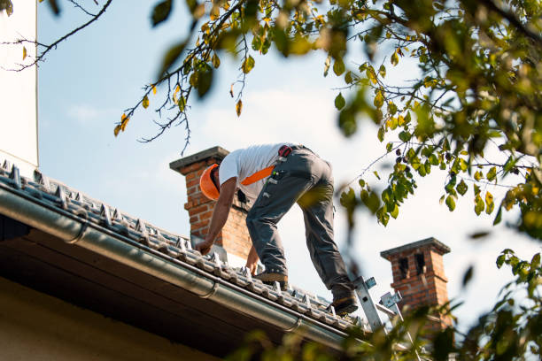 Best Storm Damage Roof Repair  in Brookneal, VA