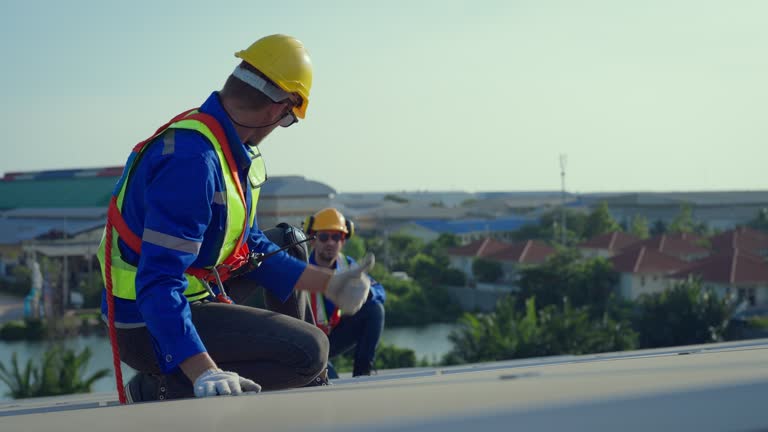 Best Chimney Flashing Repair  in Brookneal, VA