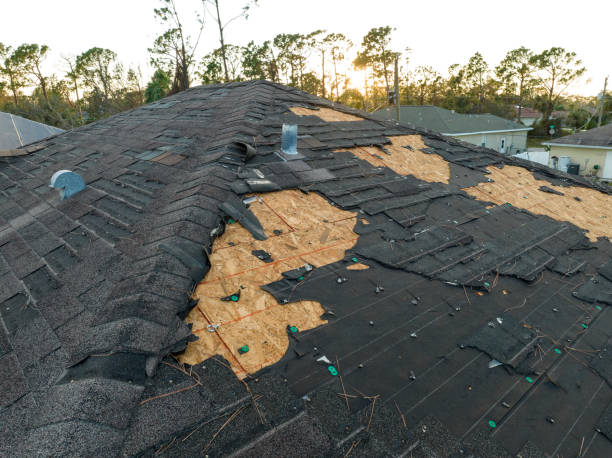 Best Steel Roofing  in Brookneal, VA