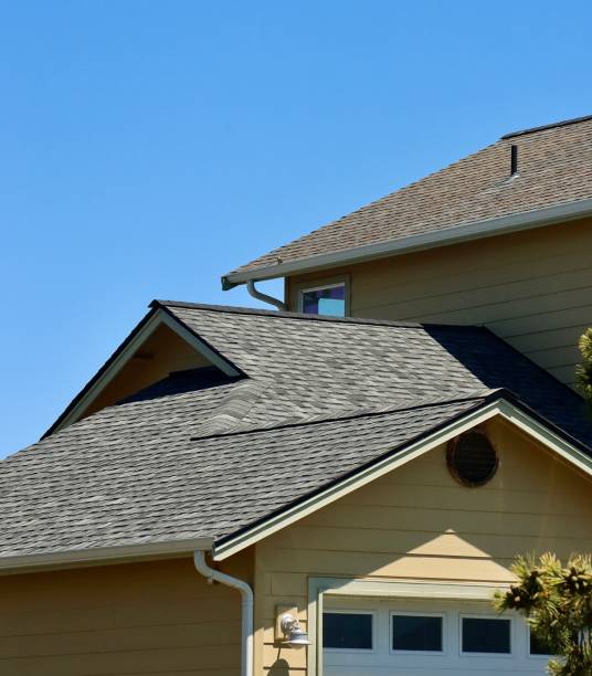 Best Skylight Installation and Repair  in Brookneal, VA